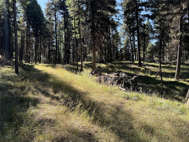 643 Stagecoach Dr, Seeley Lake, MT 59868