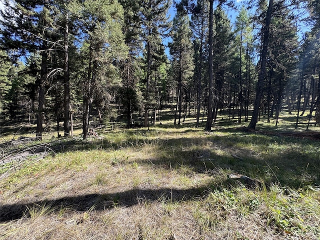 643 Stagecoach Dr, Seeley Lake, MT 59868