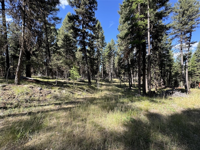 643 Stagecoach Dr, Seeley Lake, MT 59868