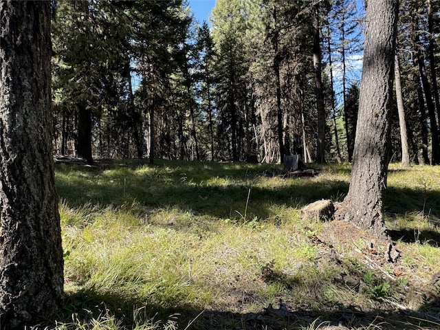 643 Stagecoach Dr, Seeley Lake, MT 59868
