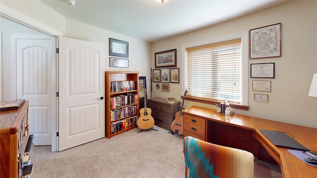 home office with light colored carpet