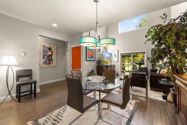 dining room featuring dark hardwood / wood-style floors