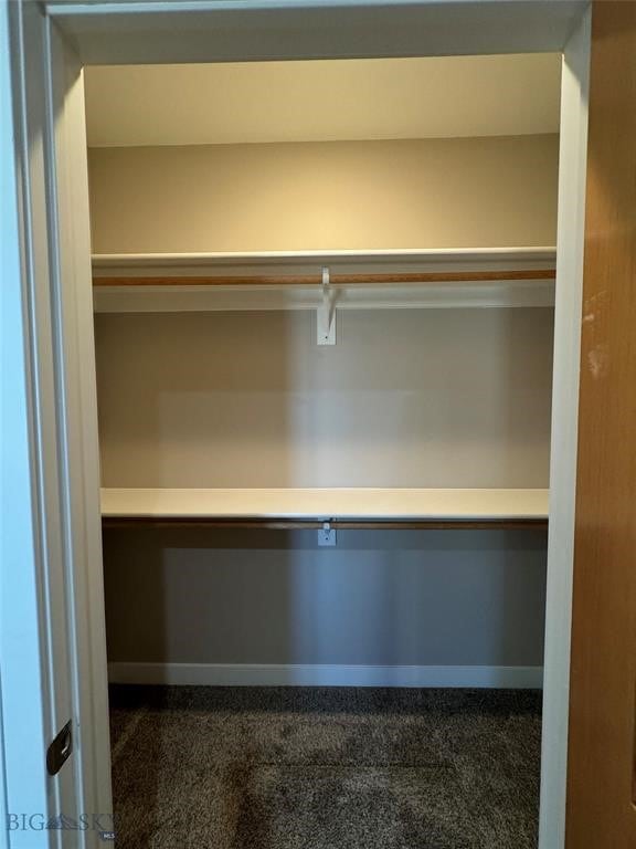 view of closet