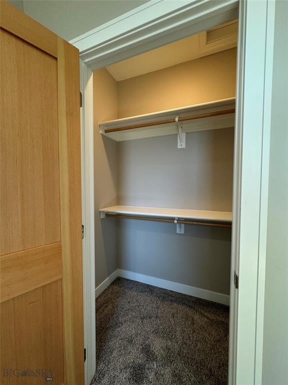 walk in closet featuring dark colored carpet