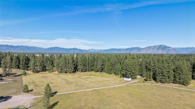 drone / aerial view featuring a forest view and a mountain view