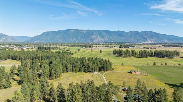 drone / aerial view with a rural view and a mountain view