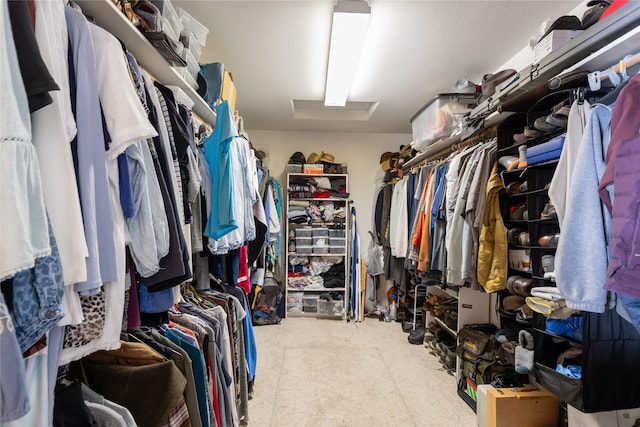 walk in closet featuring attic access and carpet floors