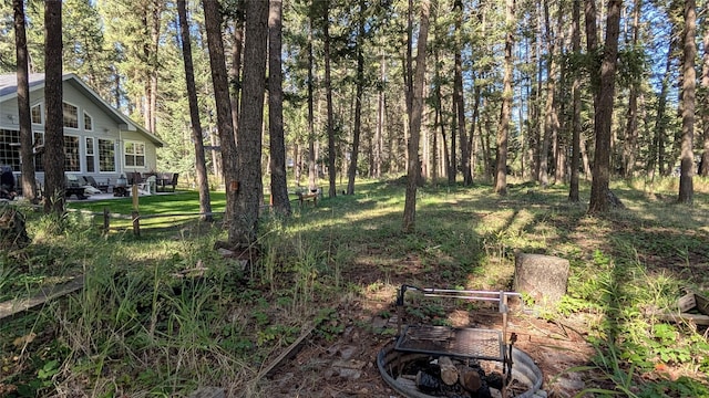 view of yard with a patio area