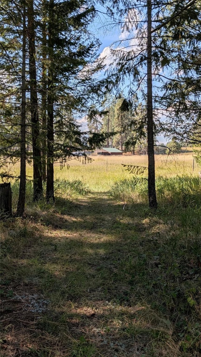 view of yard with a rural view