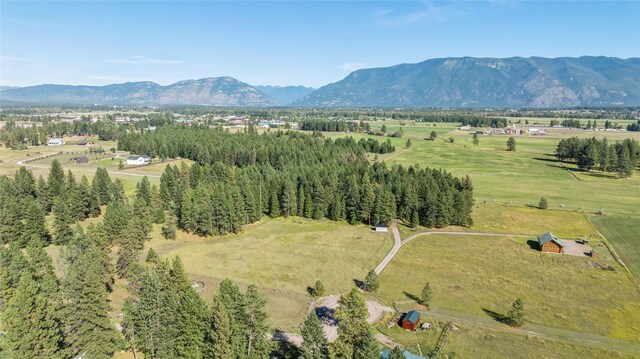 birds eye view of property featuring a mountain view