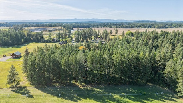 drone / aerial view featuring a rural view and a mountain view