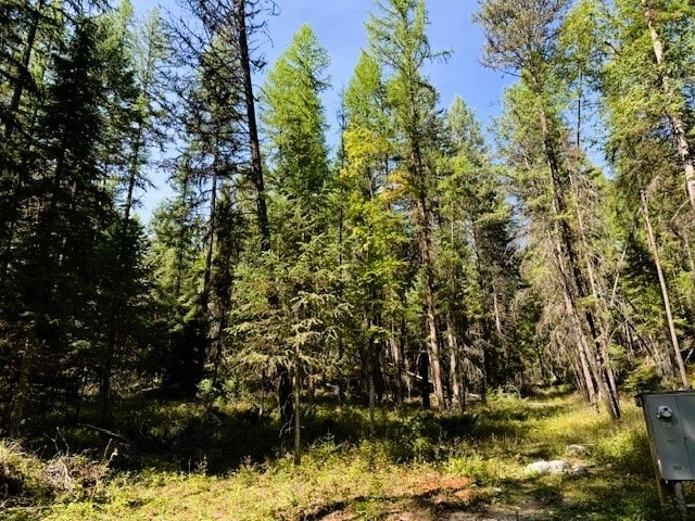 747 Beaver Lake Rd, Whitefish, MT 59937