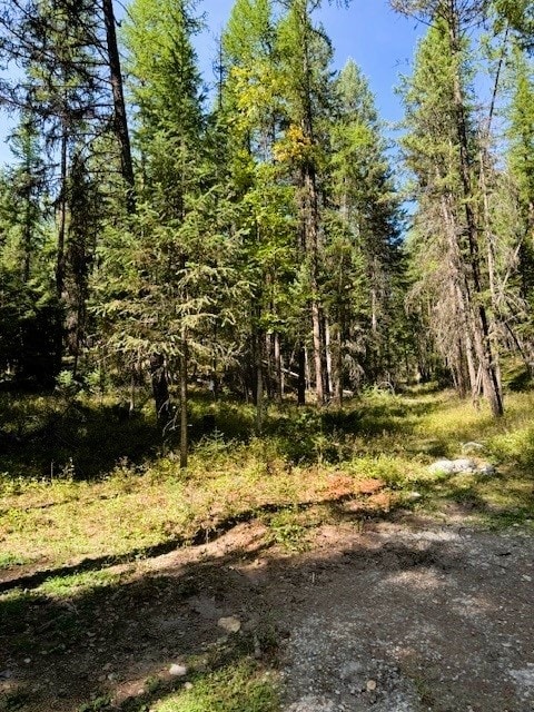 747 Beaver Lake Rd, Whitefish, MT 59937