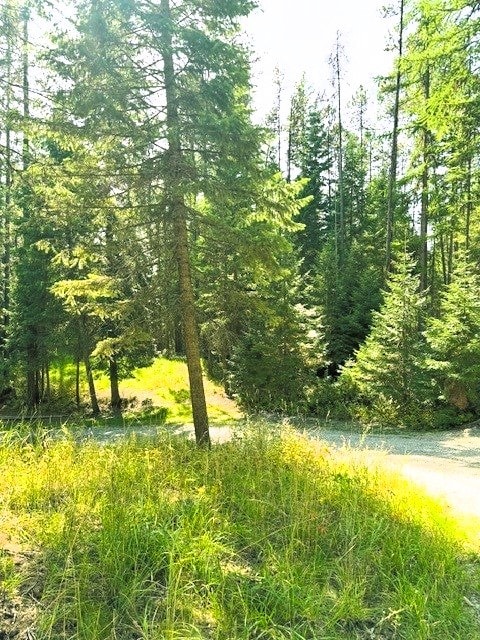 747 Beaver Lake Rd, Whitefish, MT 59937