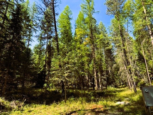 747 Beaver Lake Rd, Whitefish, MT 59937