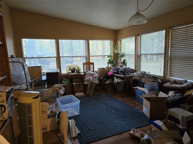 interior space featuring lofted ceiling and dark hardwood / wood-style flooring