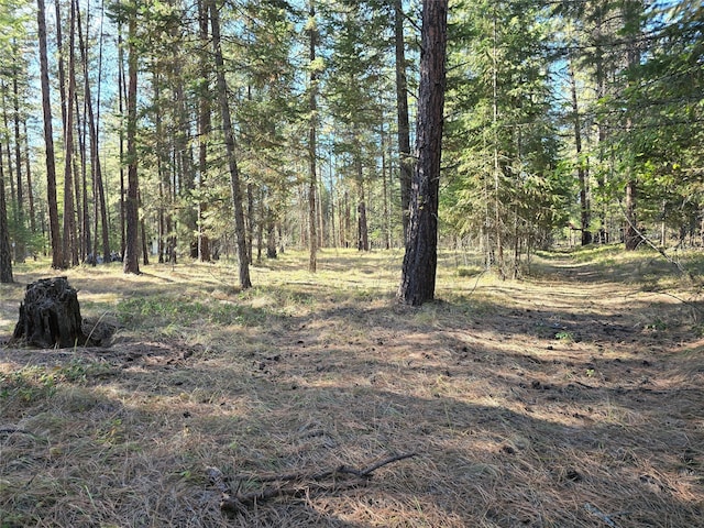 view of local wilderness