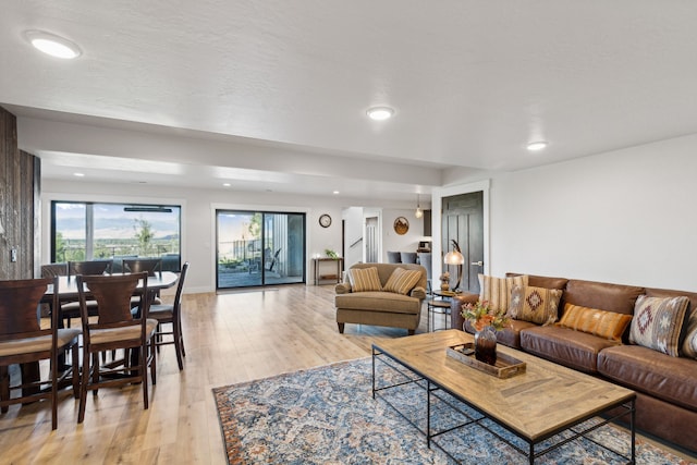 living room featuring light hardwood / wood-style flooring