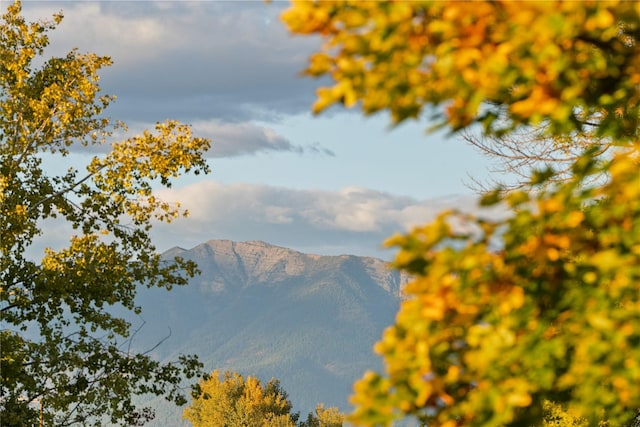 880 Farm Rd, Kalispell, MT 59901 - mountain view