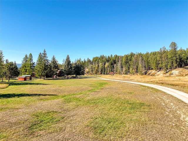 2237 Grave Creek Rd, Eureka, MT 59917 - view of grassy yard with a forest view