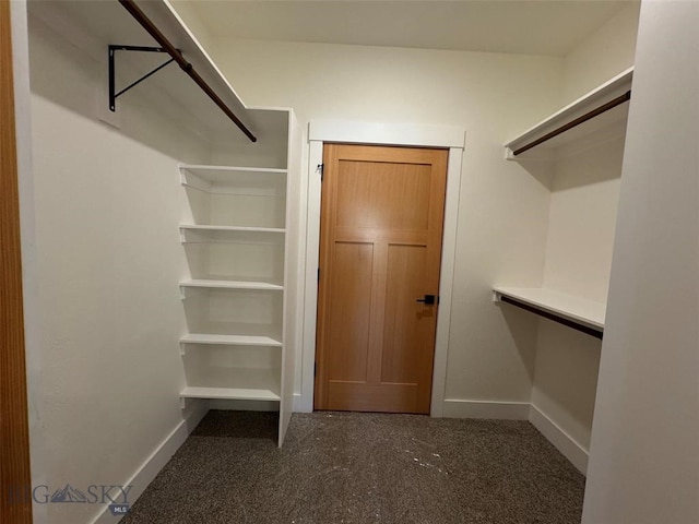 spacious closet featuring dark colored carpet