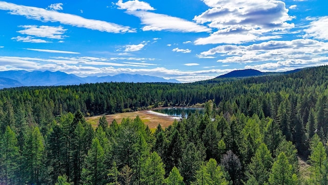 mountain view featuring a water view