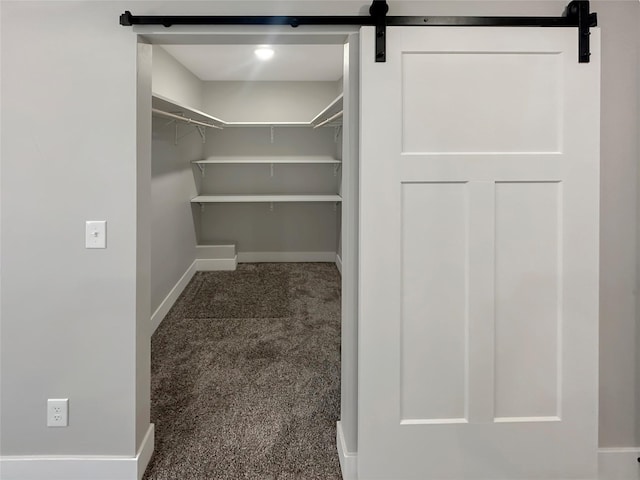 spacious closet with carpet floors and a barn door