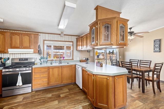 kitchen featuring stainless steel gas stove, dishwasher, sink, kitchen peninsula, and a textured ceiling