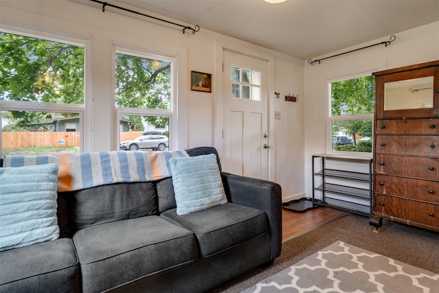 living room with dark hardwood / wood-style flooring