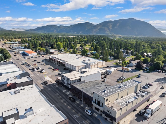 aerial view with a mountain view