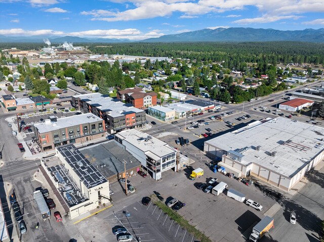 aerial view with a mountain view