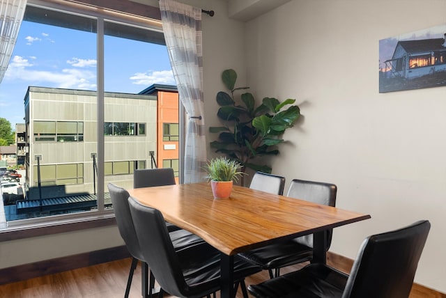 dining area featuring hardwood / wood-style floors