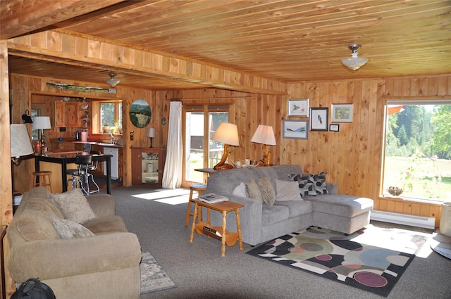 1876 Timber Creek Rd, Haugan, MT 59866 - living room featuring wood walls, carpet, wooden ceiling, and a baseboard heating unit