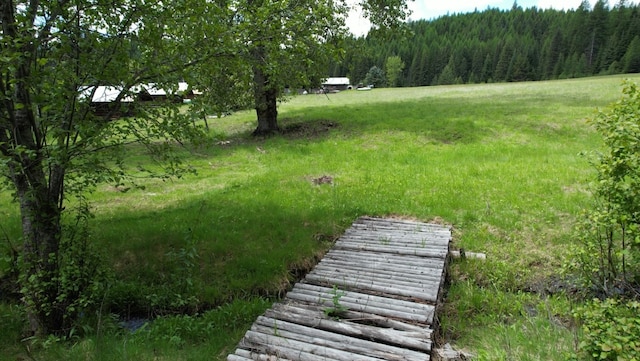 1876 Timber Creek Rd, Haugan, MT 59866 - view of yard with a view of trees