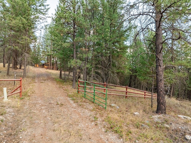 view of yard featuring a rural view