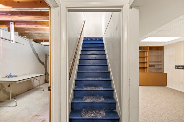 stairway featuring carpet flooring