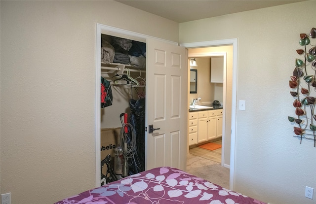 bedroom with a closet, light colored carpet, and sink