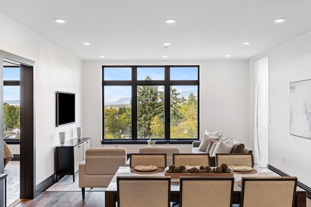 dining room with light wood-type flooring and a wealth of natural light