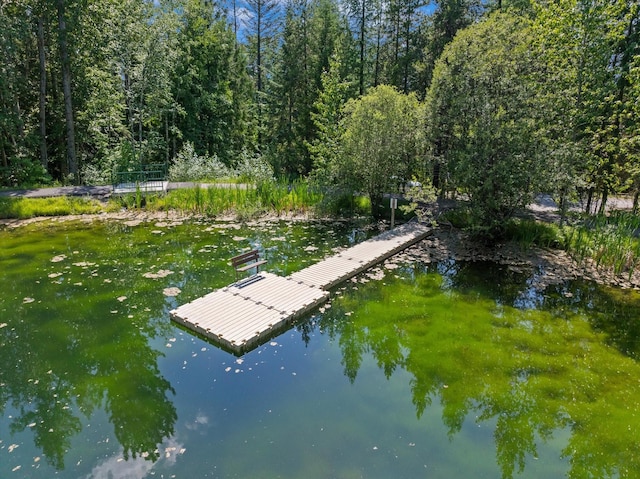 114 Cedar Way Unit 114, Whitefish, MT 59937 - view of dock area