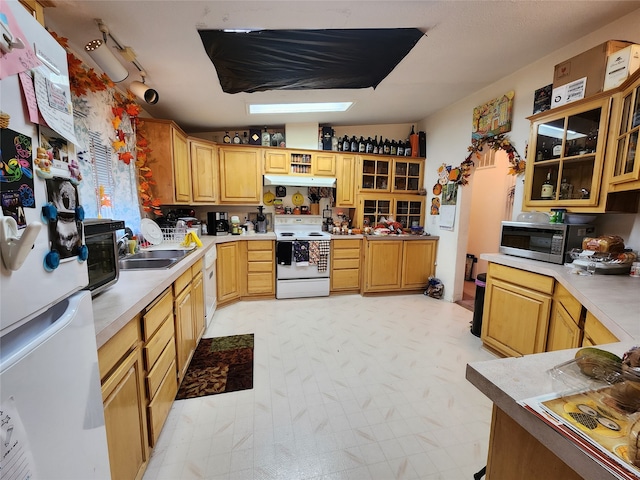 kitchen with white appliances and sink