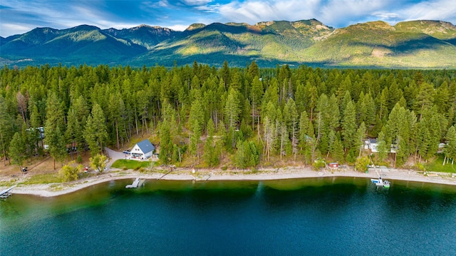 drone / aerial view of a water and mountain view and a forest