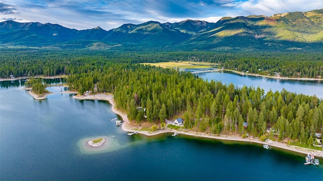 view of property location with a forest and a water and mountain view