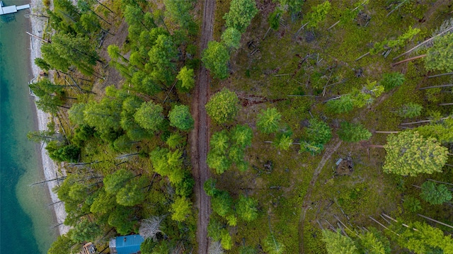 bird's eye view