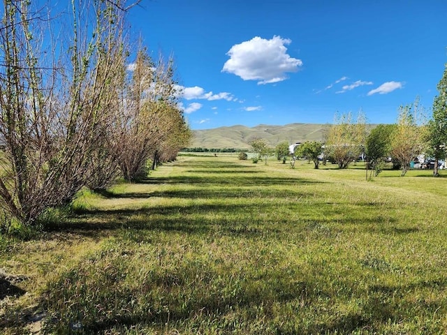 view of yard with a mountain view and a rural view