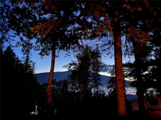 339 Dakota Ave, Whitefish, MT 59937 - water view featuring a mountain backdrop