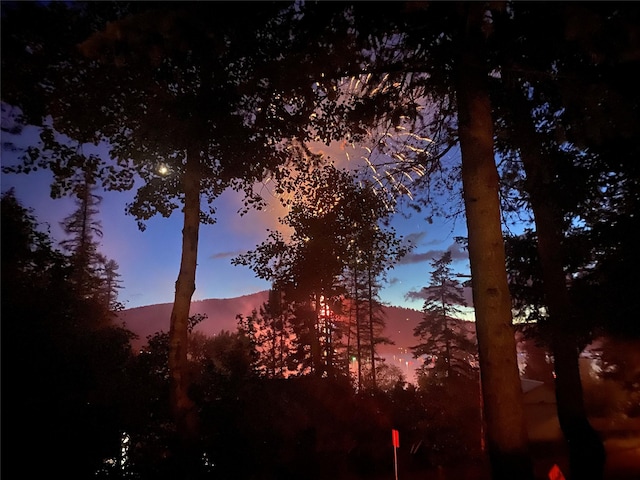 339 Dakota Ave, Whitefish, MT 59937 - view of local wilderness with a mountain backdrop