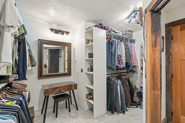 spacious closet with light carpet