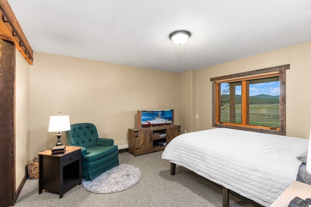 carpeted bedroom with a baseboard radiator and a barn door