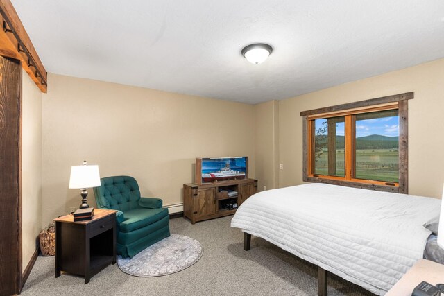 1200 Shaw Ln, Bonner, MT 59823 - bedroom featuring carpet, a baseboard radiator, and baseboards