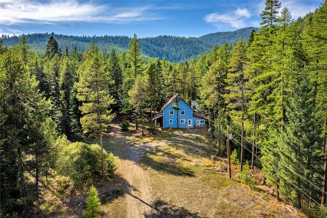 birds eye view of property featuring a mountain view